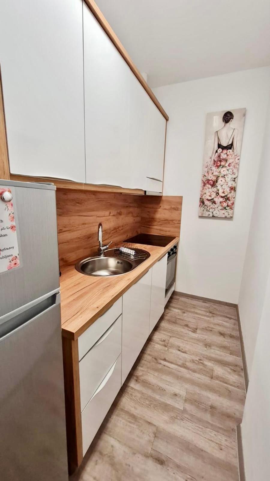 Ljubljana Central Lux Apartment With Free Parking Exteriör bild